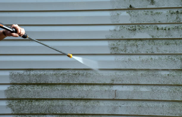 Best Roof Pressure Washing  in Lenox, IA