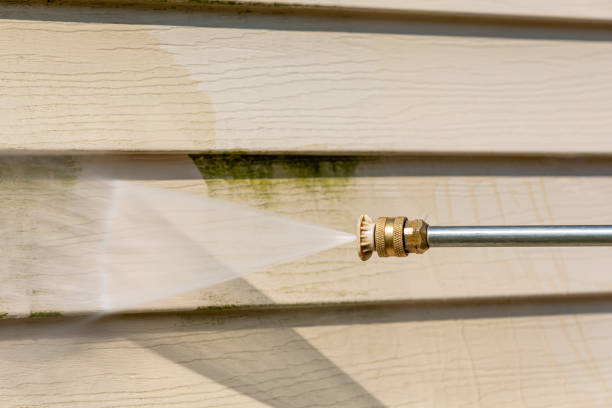 Best Exterior Home Cleaning  in Lenox, IA